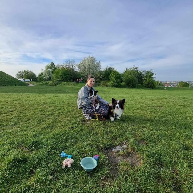 Zdjęcie z Instagrama @corgi_cowboys