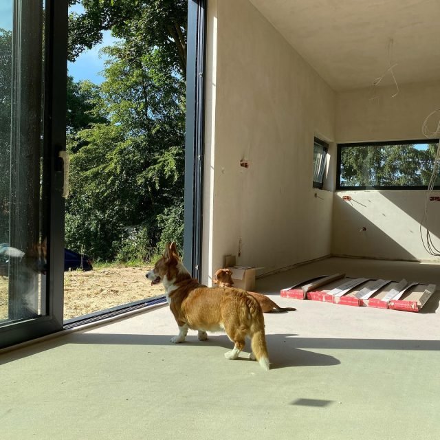 Zdjęcie z Instagrama @corgi_cowboys
