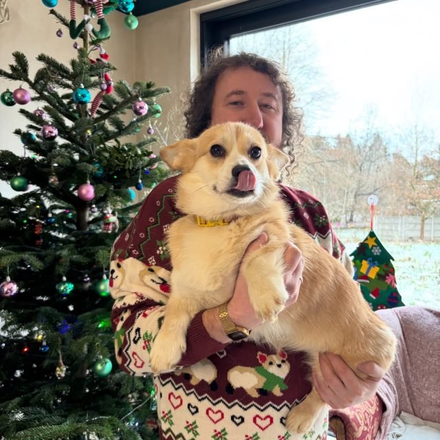 Zdjęcie z Instagrama @corgi_cowboys