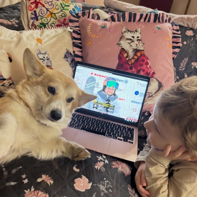 Zdjęcie z Instagrama @corgi_cowboys