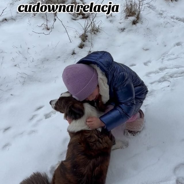 Koko, Welsh Corgi z hodowli Corgi Cowboys