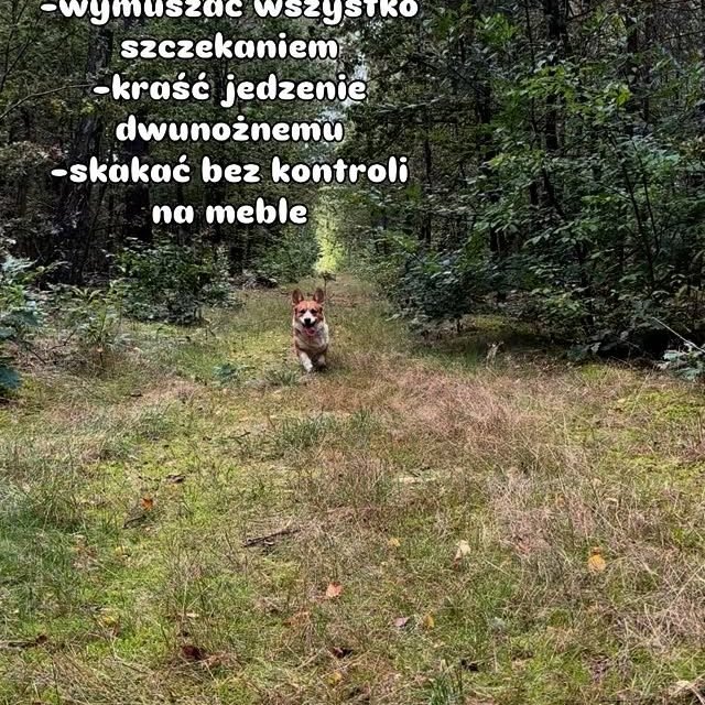 Tekla – zdjęcie z Instagrama
