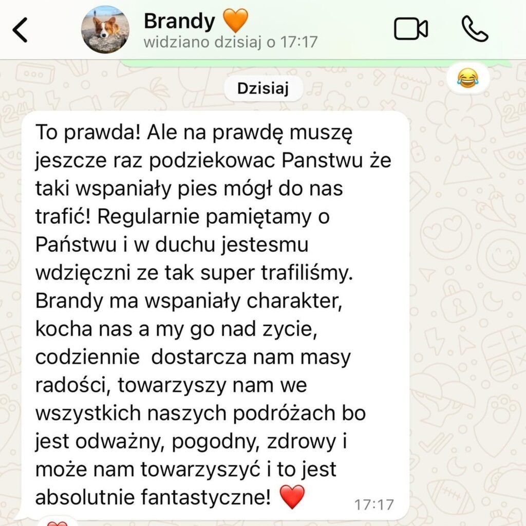 Wiadomość od właścicieli Brandy z podziękowaniem dla hodowli Corgi Cowboys